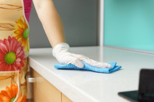Carpet cleaner treating stains in a TW7 residential property