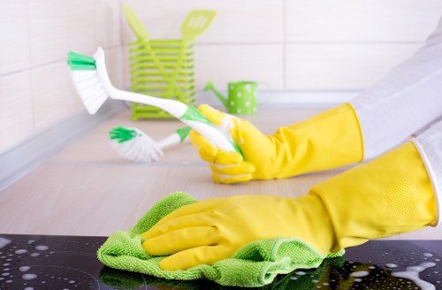 Sustainable carpet cleaning equipment and eco-friendly transport in TW7