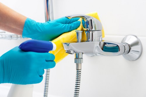 Domestic cleaning service for flats and family homes in TW7