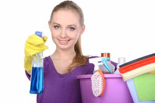 Domestic and commercial cleaning service available across TW7