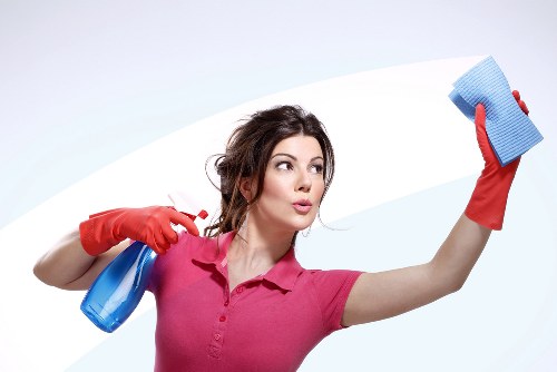 Professional carpet cleaning team working with controlled safety measures